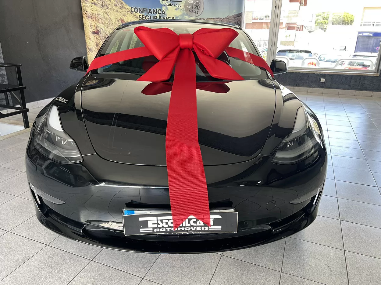 Tesla Model 3 Long Range AWD Dual Motor - foto 5