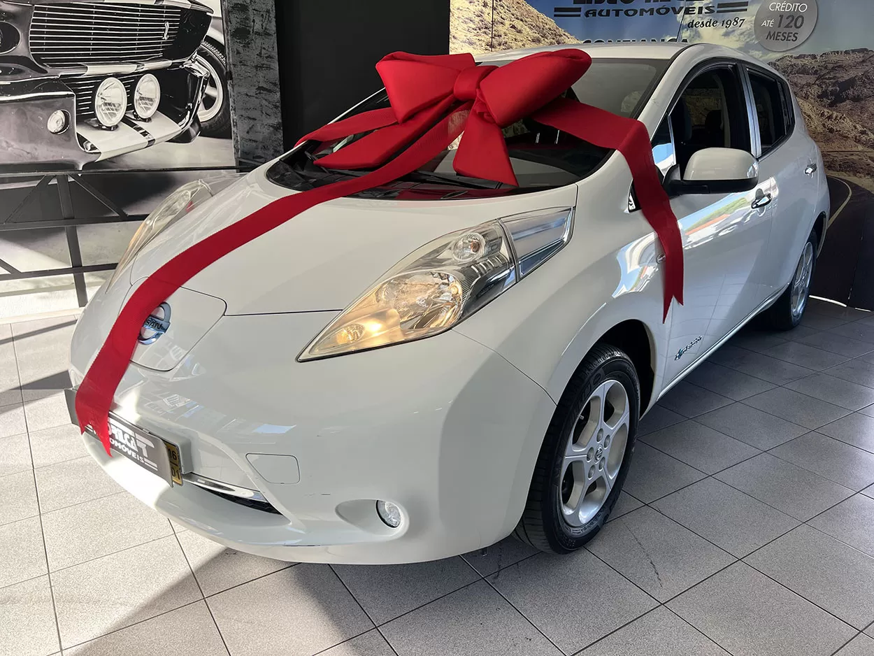 Nissan Leaf 24 kWh