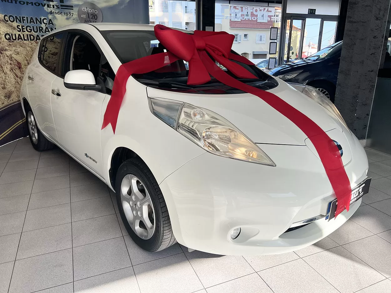 Nissan Leaf 24 kWh - foto 2