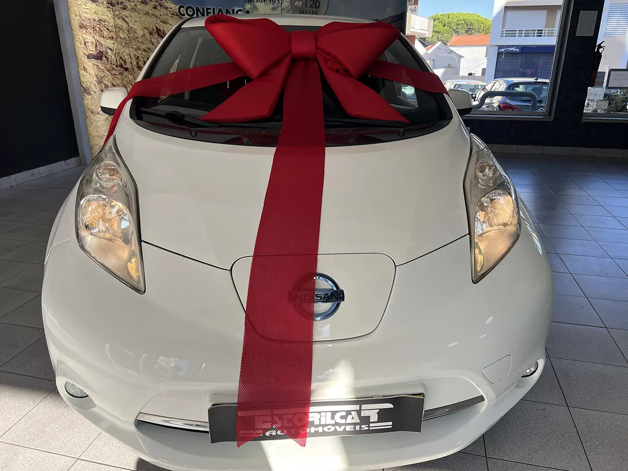 Nissan Leaf 24 kWh - foto 5