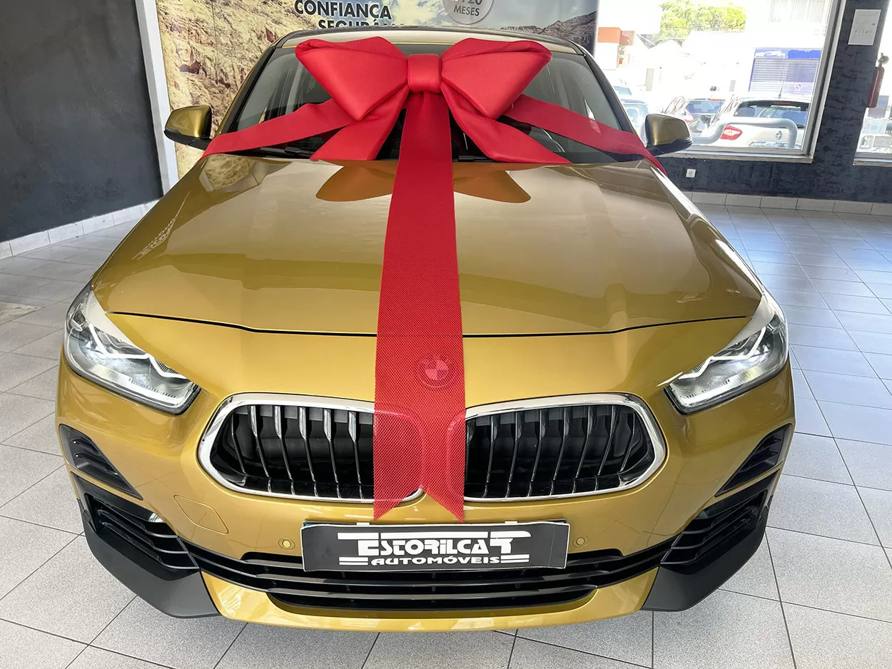 BMW X2 25 e xDrive Advantage - foto 5