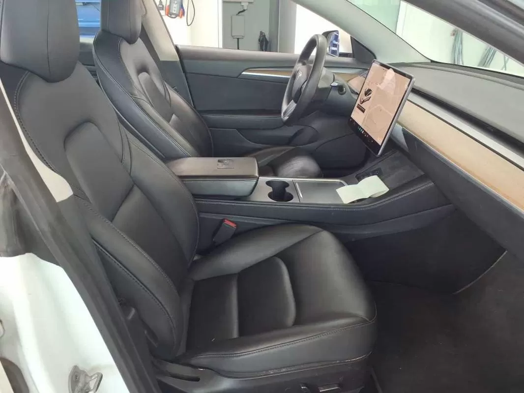 Tesla Model 3 Performance Dual Motor AWD - foto 6