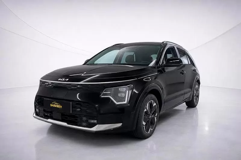 Kia e-Niro  Vision