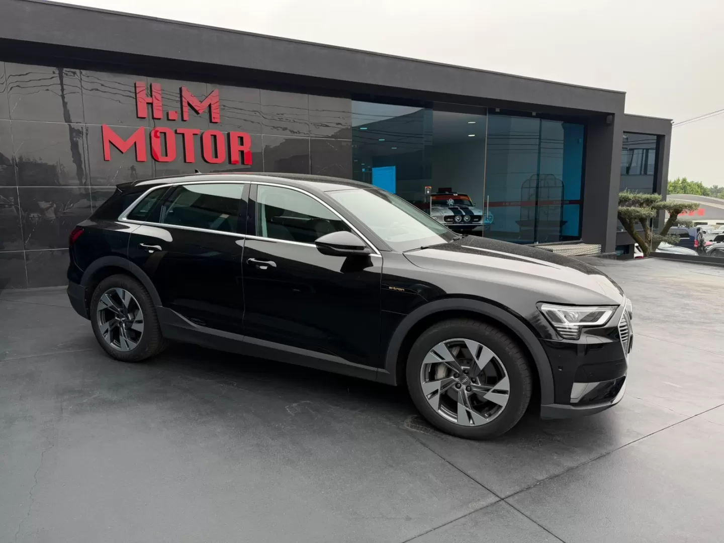 Audi e-tron 50 quattro - foto 3