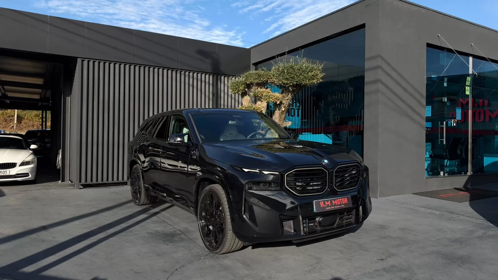 BMW XM 50e