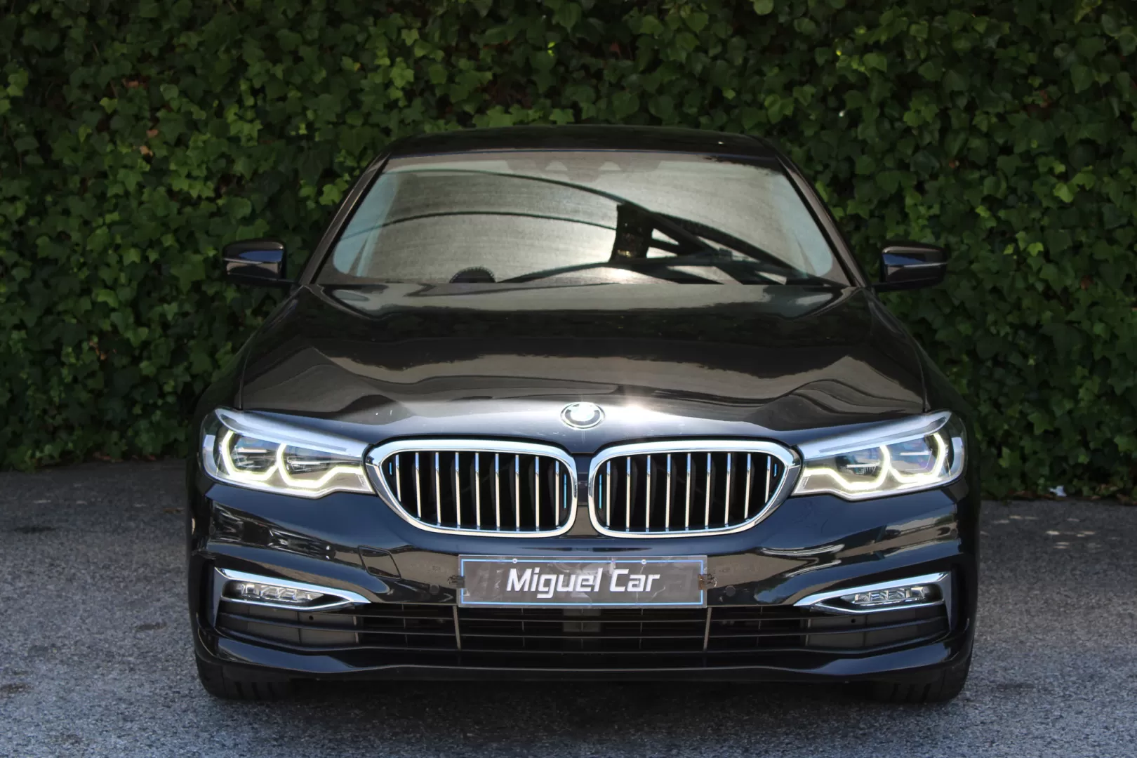 BMW 530e e iPerformance Line Luxury - foto 2