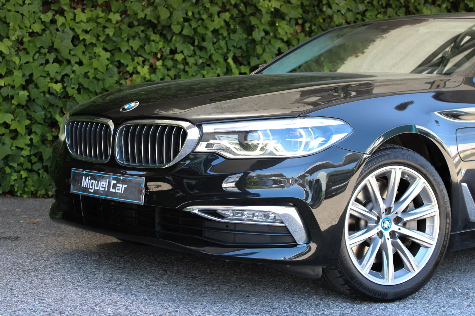 BMW 530e e iPerformance Line Luxury - foto 4