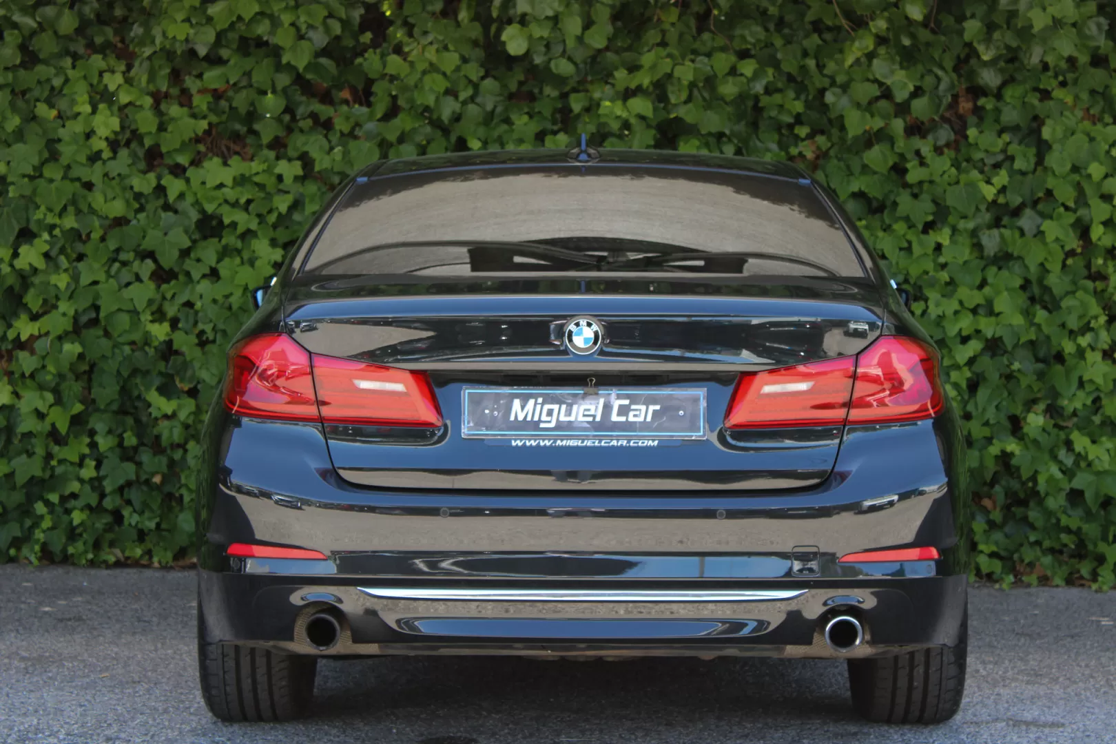 BMW 530e e iPerformance Line Luxury - foto 6