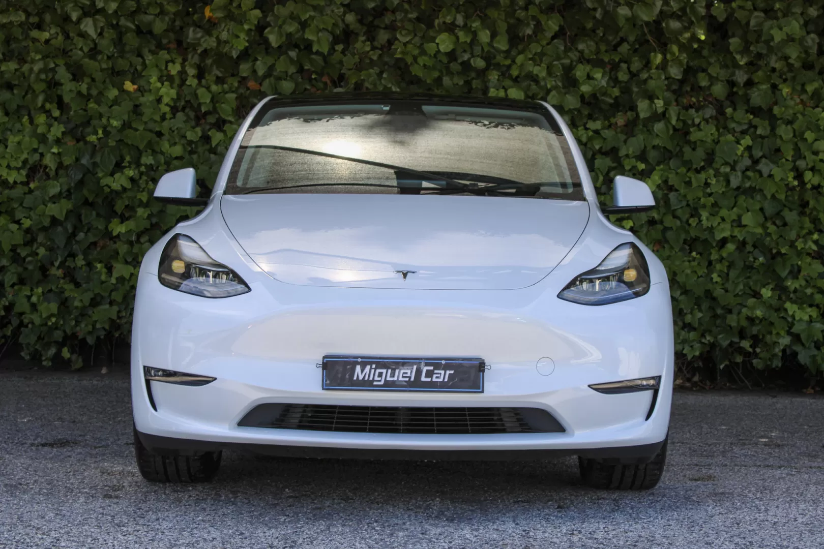 Tesla Model Y Long Range Tração Integral - foto 2
