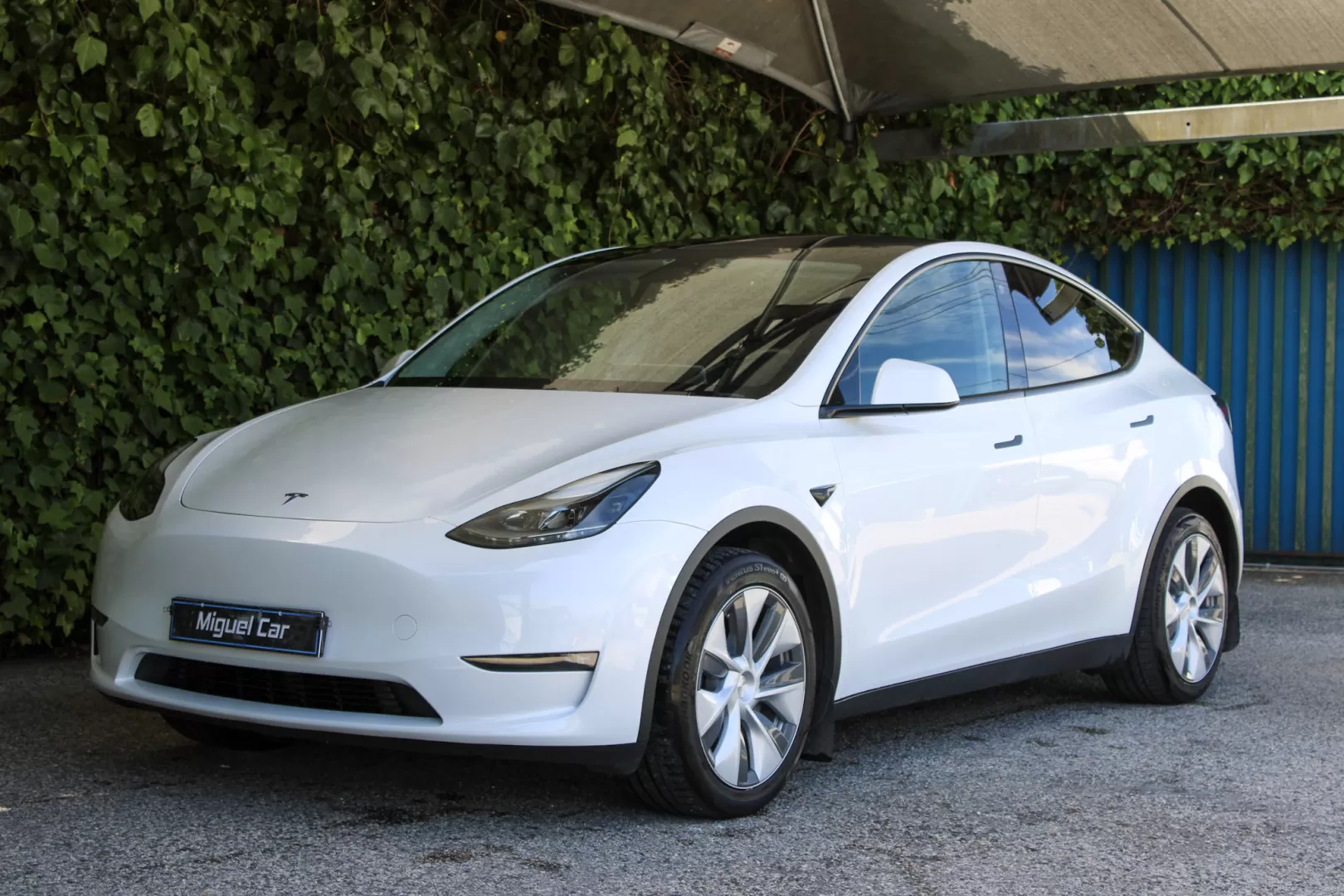 Tesla Model Y Long Range Tração Integral - foto 3
