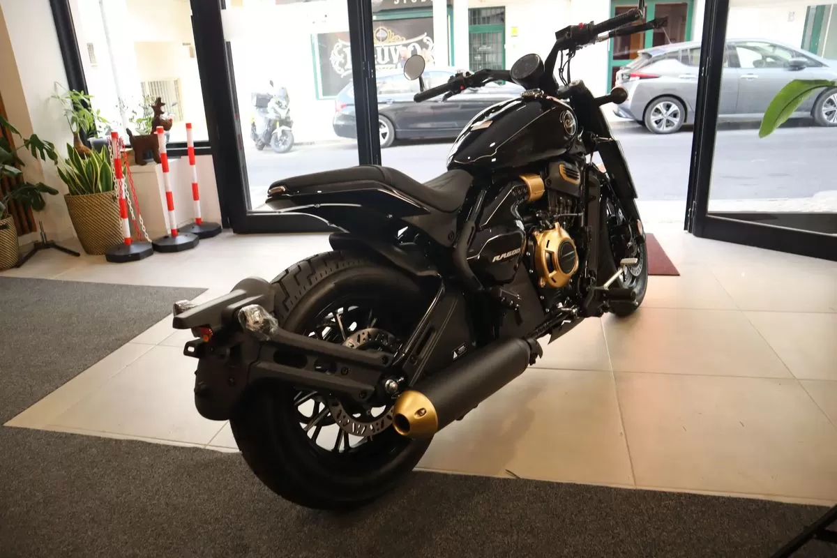 Cyclone RA600 RA600 - foto 4