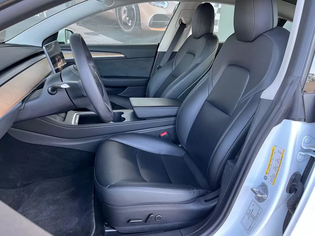 Tesla Model 3  Standard Range Plus Rwd - foto 4