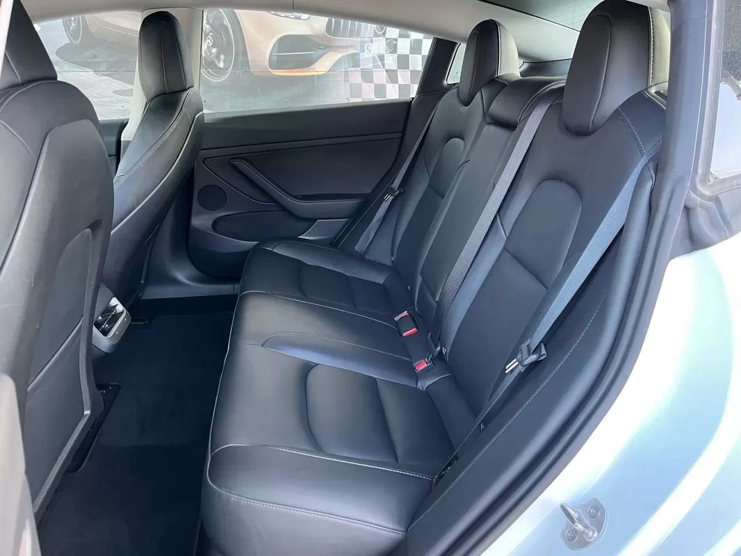 Tesla Model 3  Standard Range Plus Rwd - foto 6
