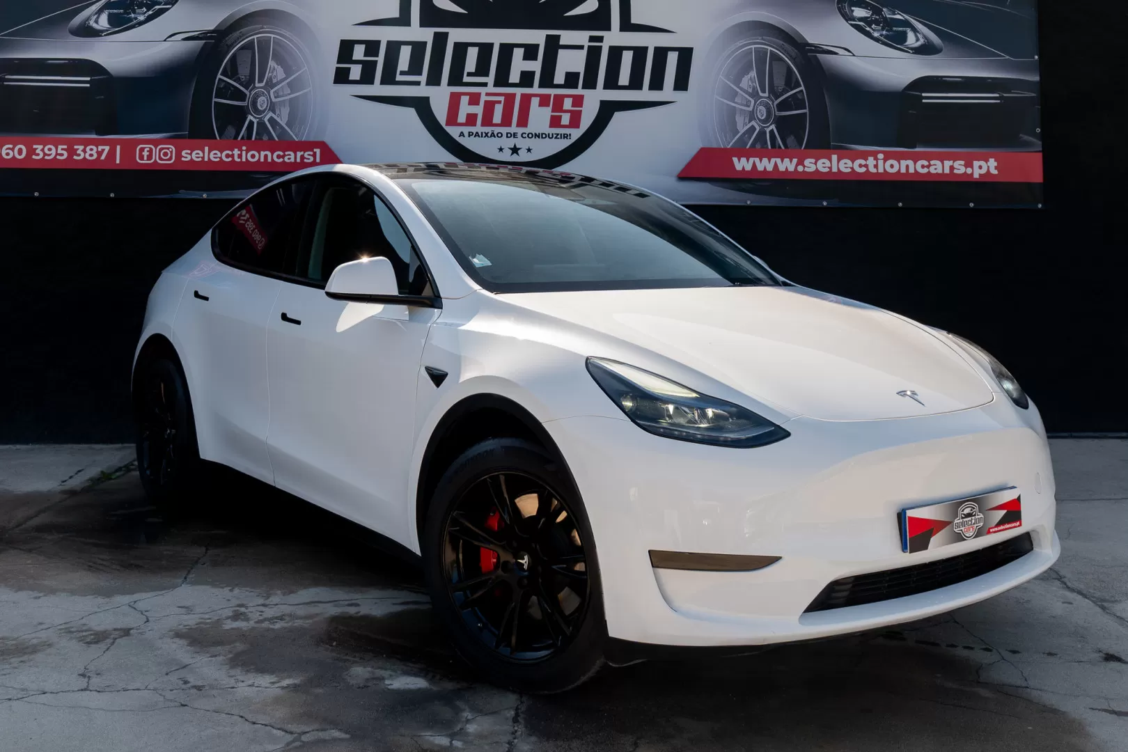 Tesla Model Y Long Range Tração Integral