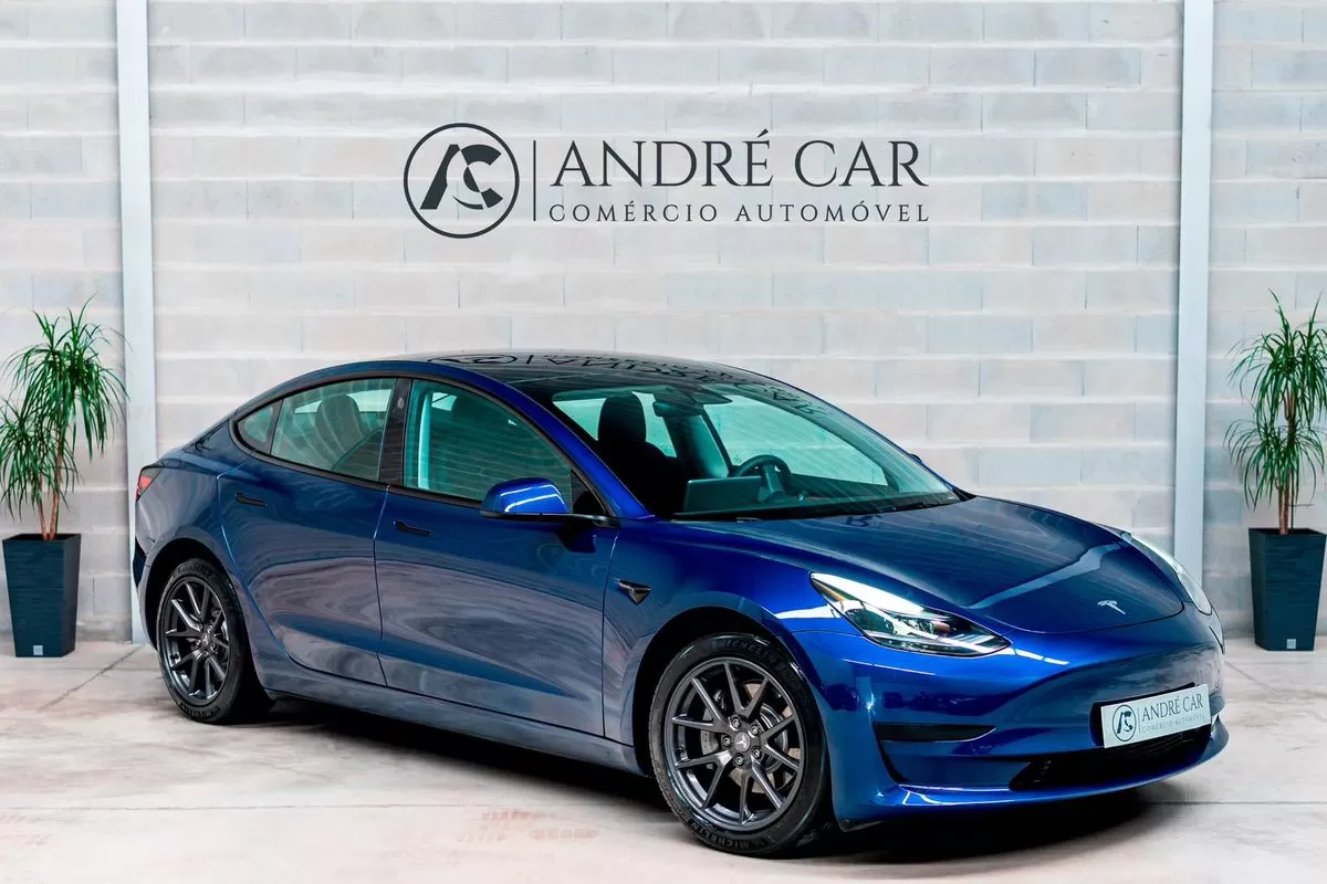 Tesla Model 3  Standard Range Plus Rwd - foto 2