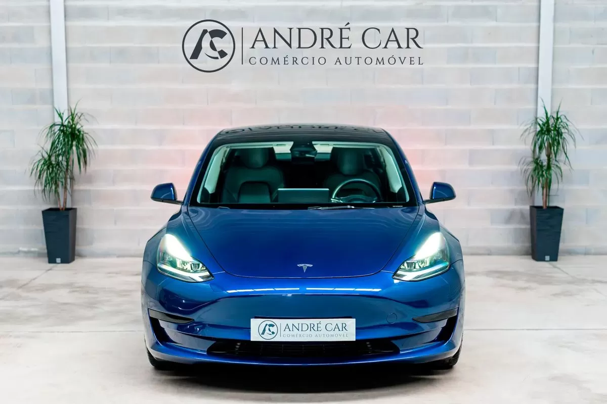 Tesla Model 3  Standard Range Plus Rwd - foto 3