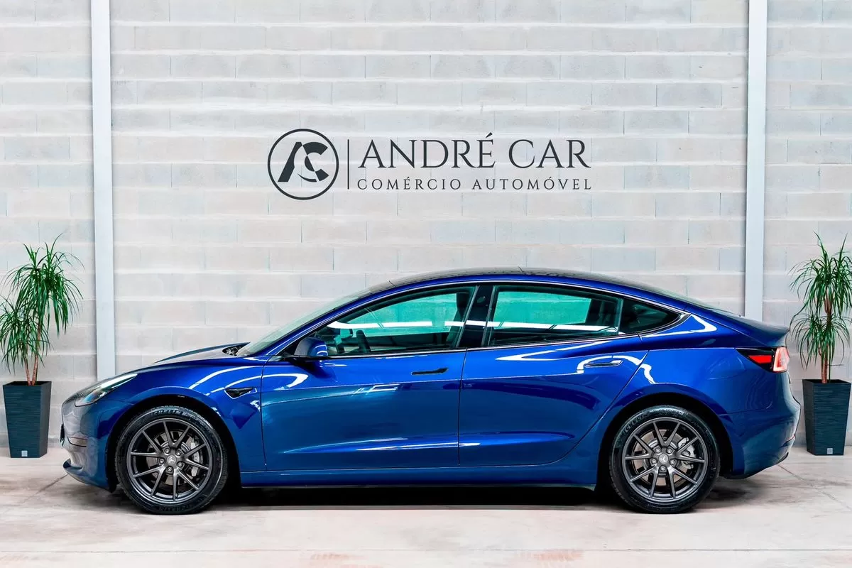 Tesla Model 3  Standard Range Plus Rwd - foto 4