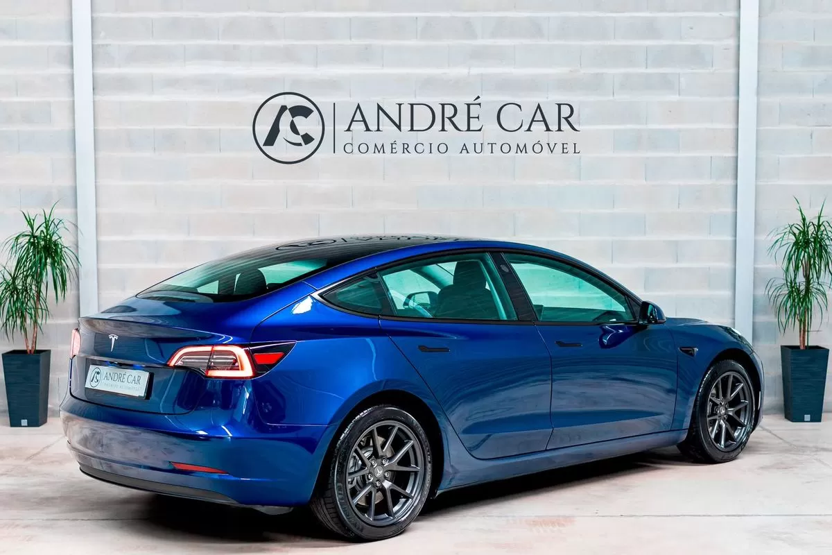 Tesla Model 3  Standard Range Plus Rwd - foto 6
