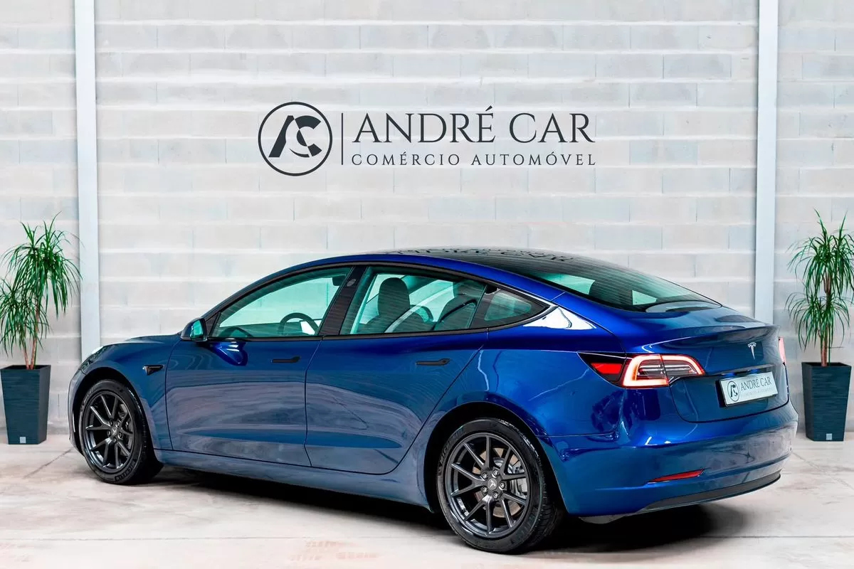 Tesla Model 3  Standard Range Plus Rwd - foto 7