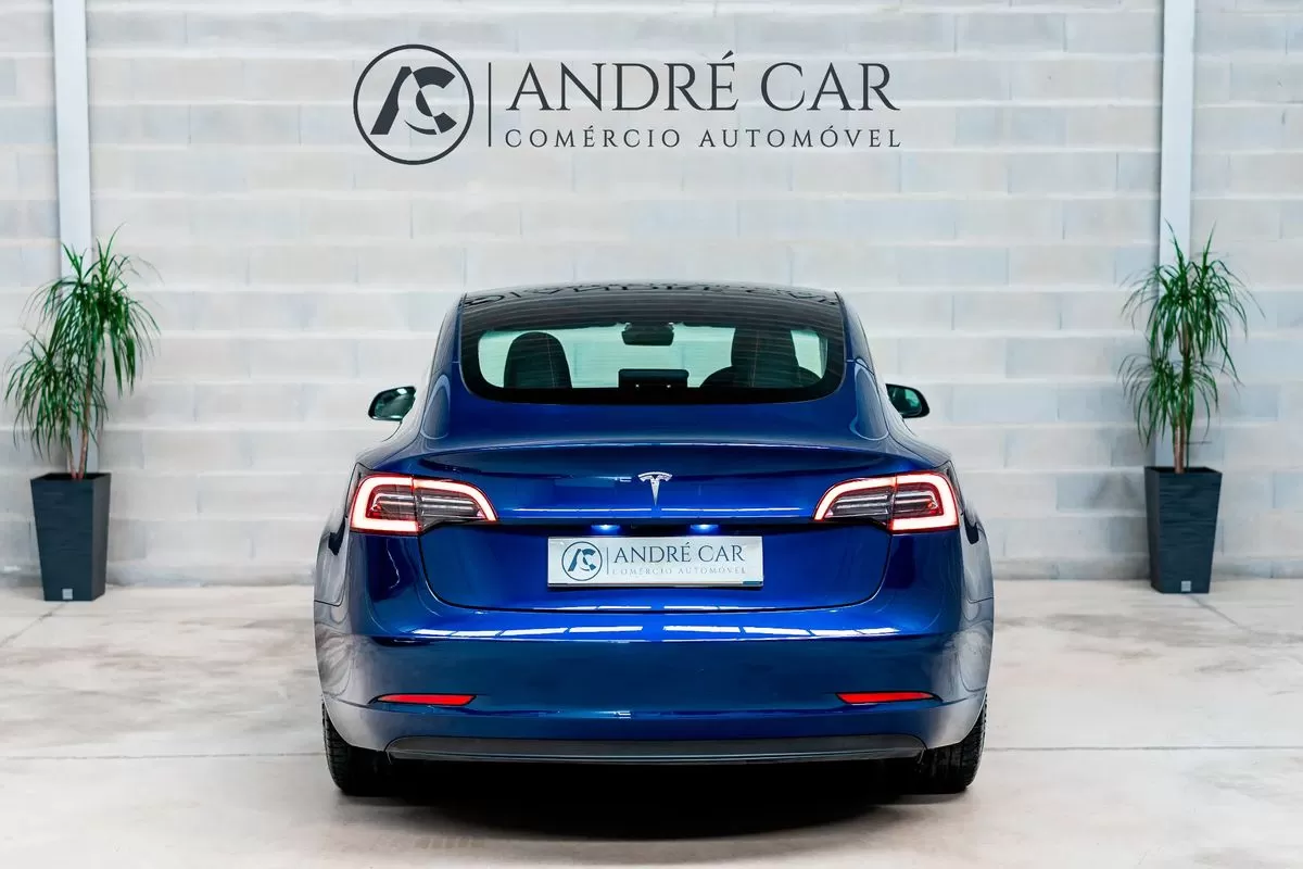 Tesla Model 3  Standard Range Plus Rwd - foto 8