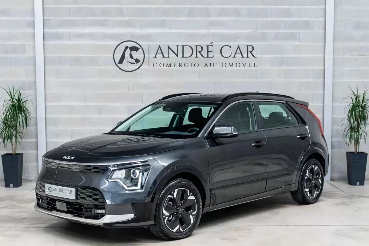 Kia Niro EV  Vision