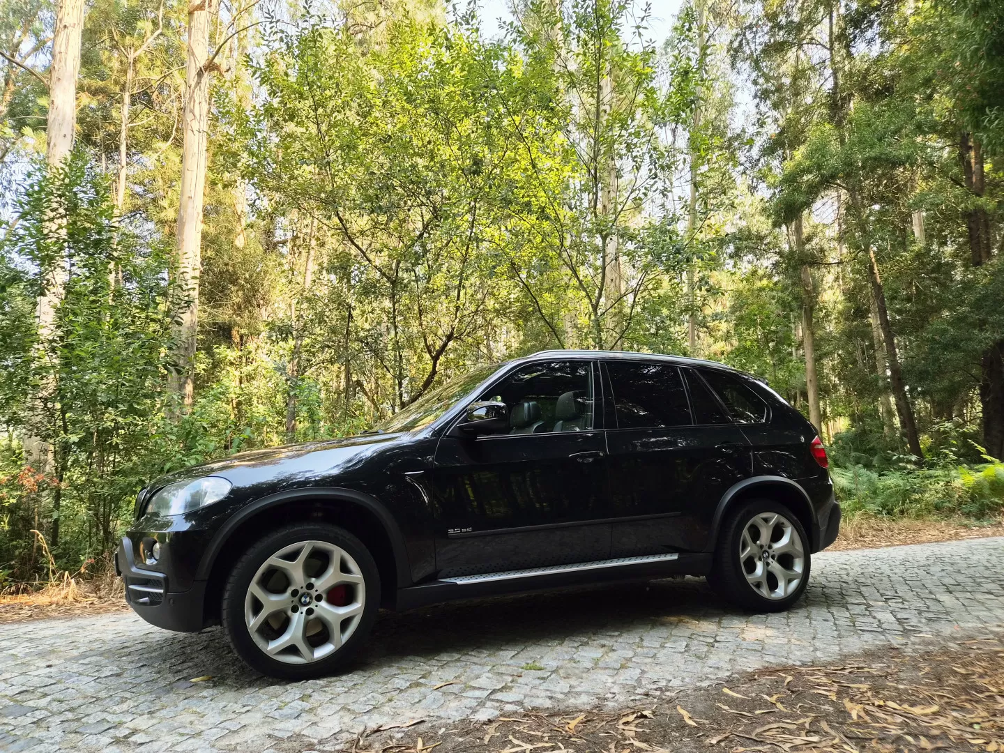 BMW X5 SD Pack M - foto 4