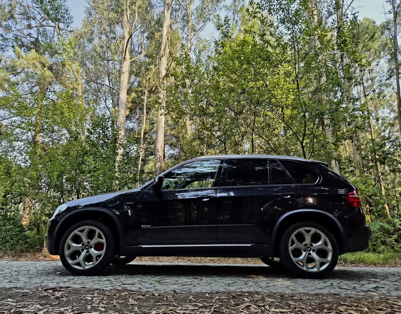BMW X5 SD Pack M - foto 5
