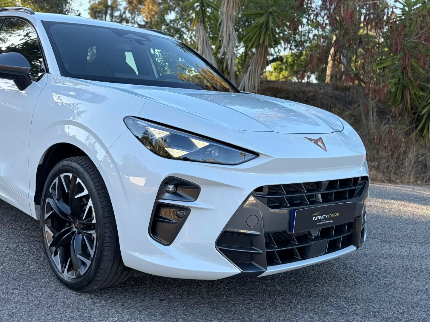 Cupra Terramar 1.5 e-Hybrid Special Edition DSG - foto 4