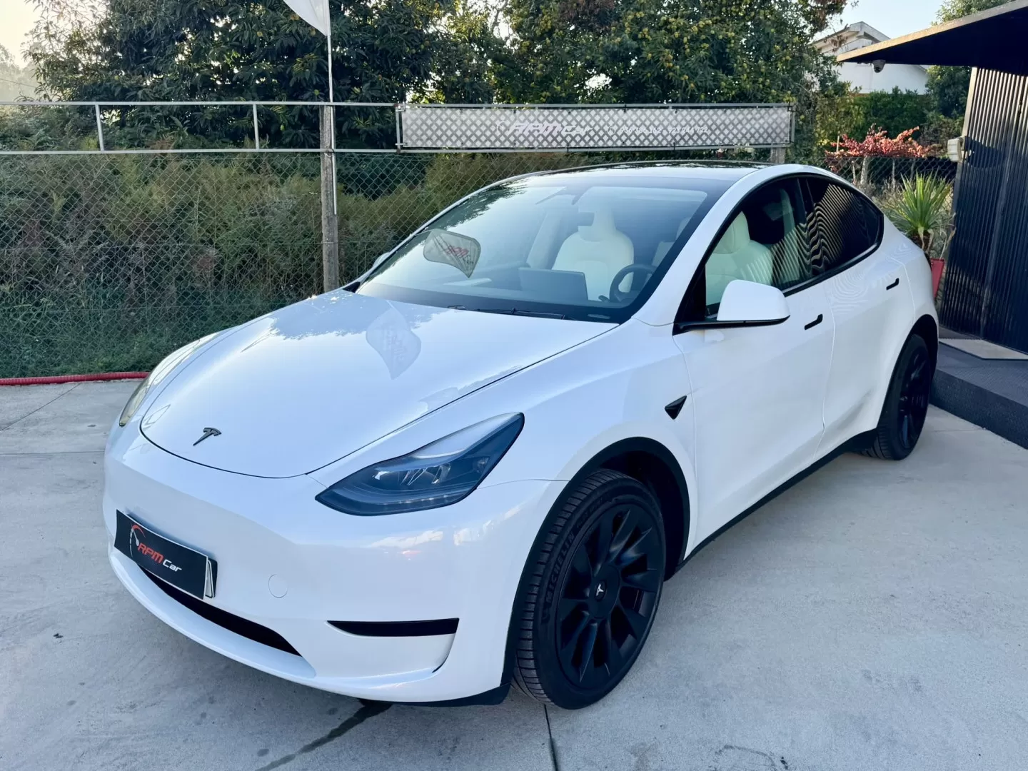 Tesla Model Y RWD / Standard