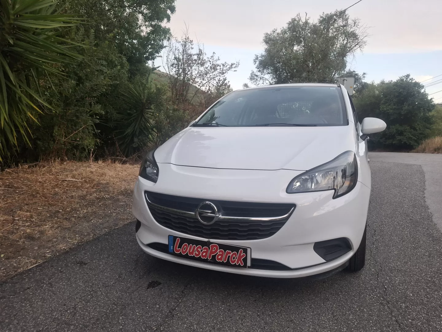 Opel  CORSA 1.3 CDTI VAN - foto 2
