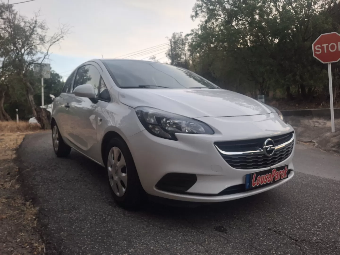 Opel  CORSA 1.3 CDTI VAN - foto 3