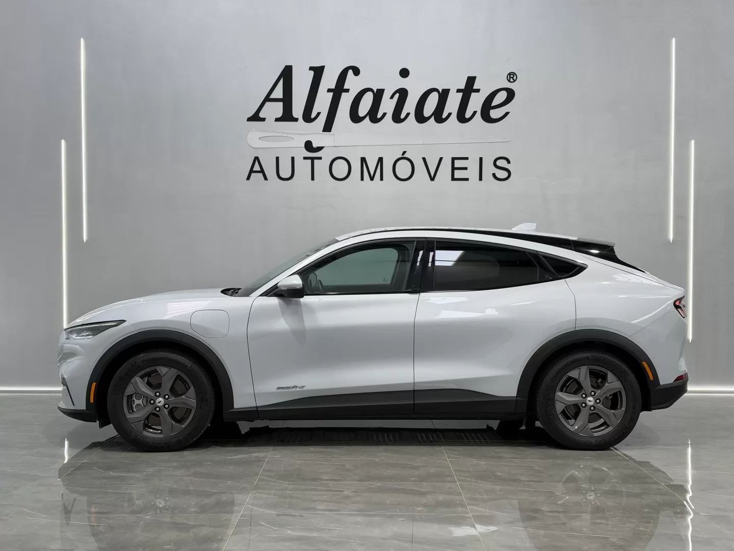 Ford Mustang Mach-E Standard Range RWD 75.7 kWh - foto 2