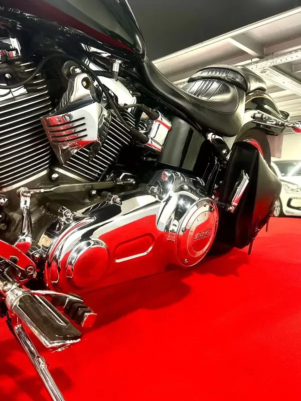 Harley-Davidson Softail Springer CVO 110 - foto 3