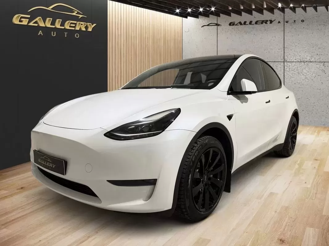 Tesla Model Y  Long Range Dual Motor Awd