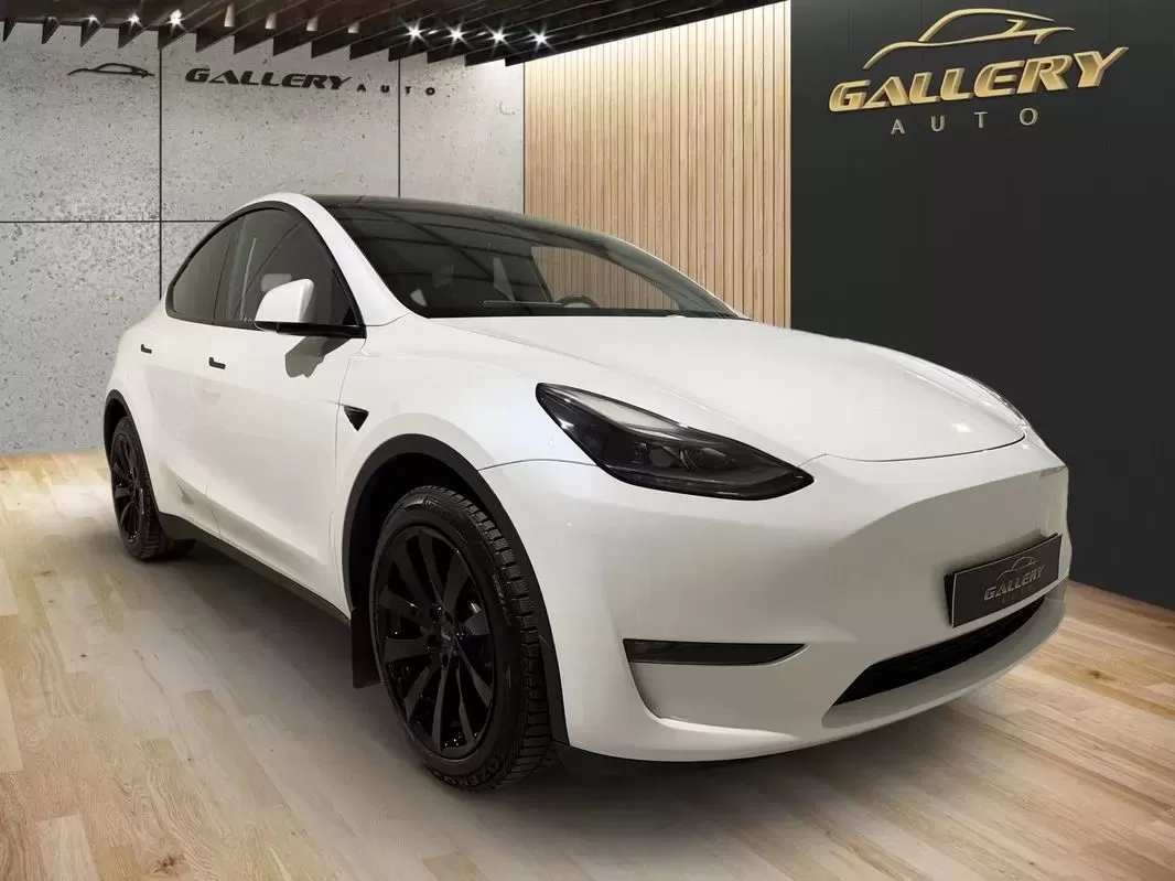 Tesla Model Y  Long Range Dual Motor Awd - foto 2