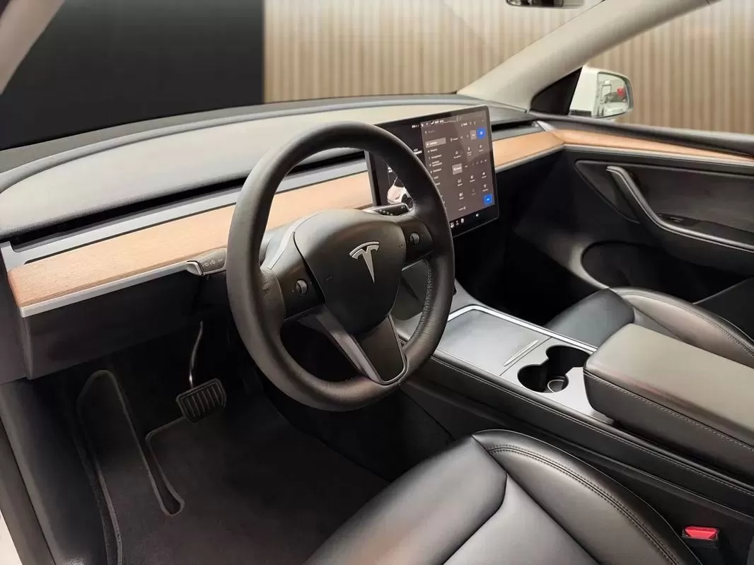 Tesla Model Y  Long Range Dual Motor Awd - foto 7