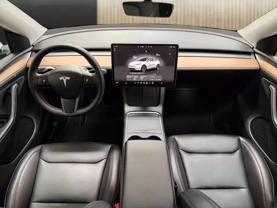 Tesla Model Y  Long Range Dual Motor Awd - foto 8