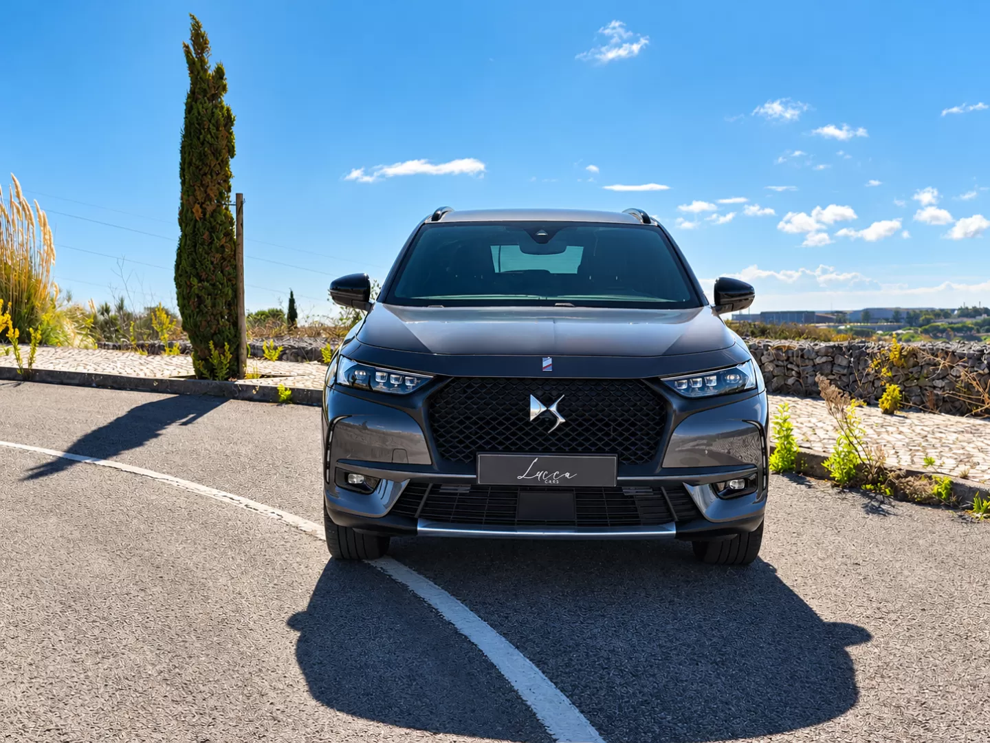 DS DS7 Crossback E-Tense Performance Line EAT8 - foto 2