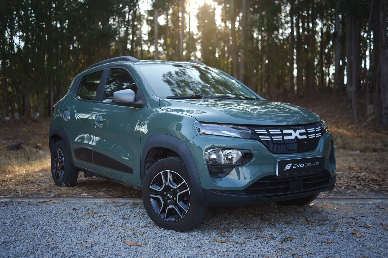 Dacia Spring Electric 45 Expression - foto 6
