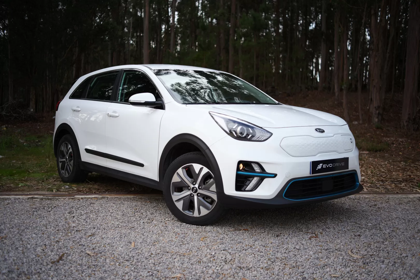 Kia e-Niro Motion - foto 5