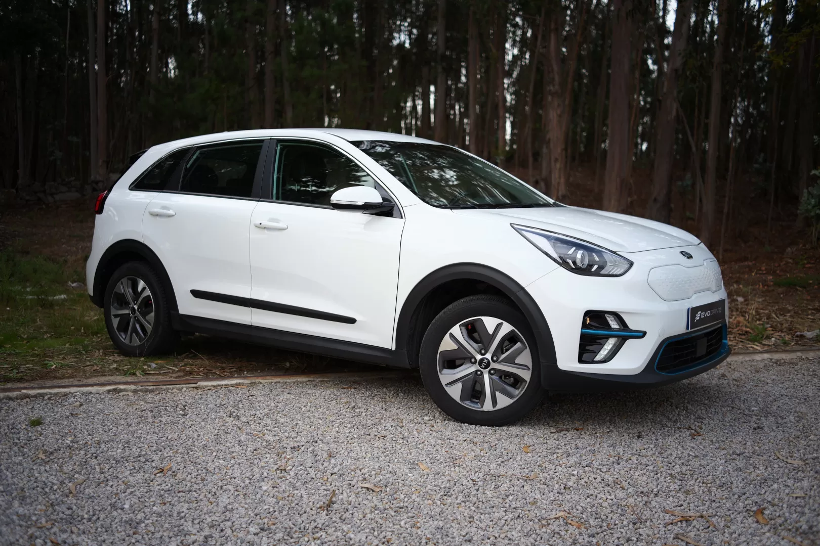 Kia e-Niro Motion - foto 7
