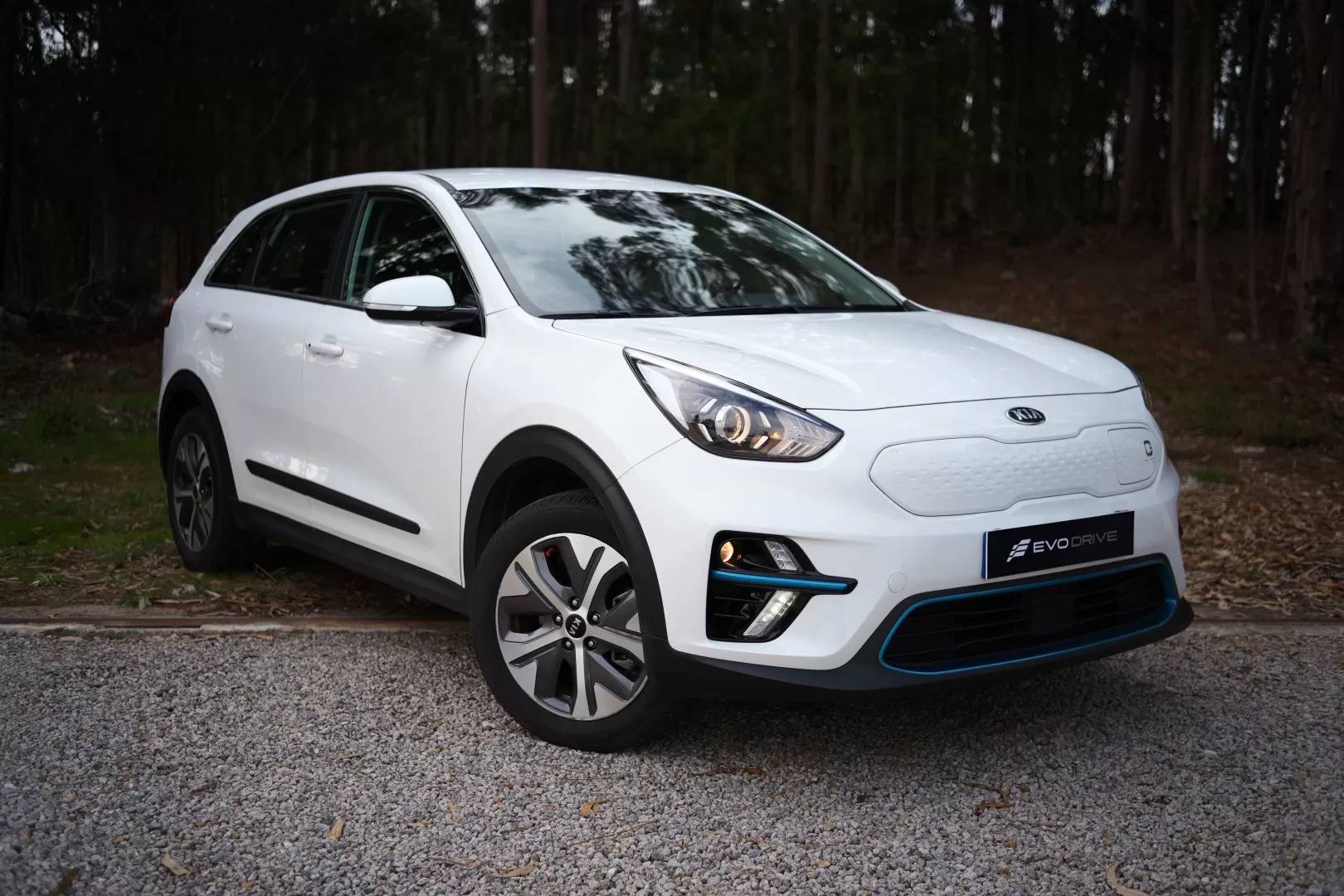 Kia e-Niro Motion