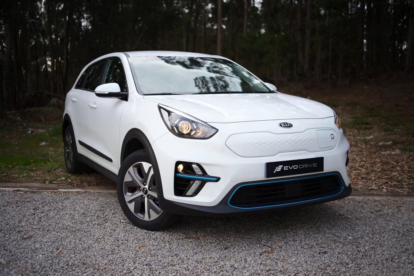 Kia e-Niro Motion - foto 6