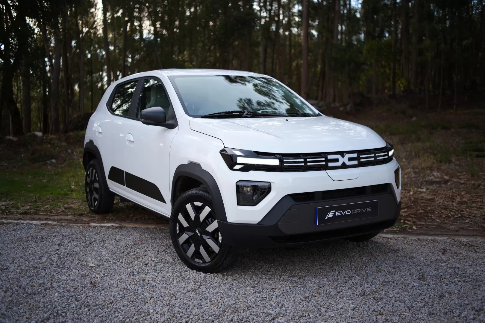 Dacia Spring Electric 65 Expression - foto 6