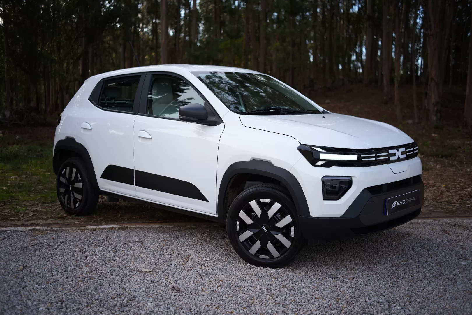 Dacia Spring Electric 65 Expression - foto 7