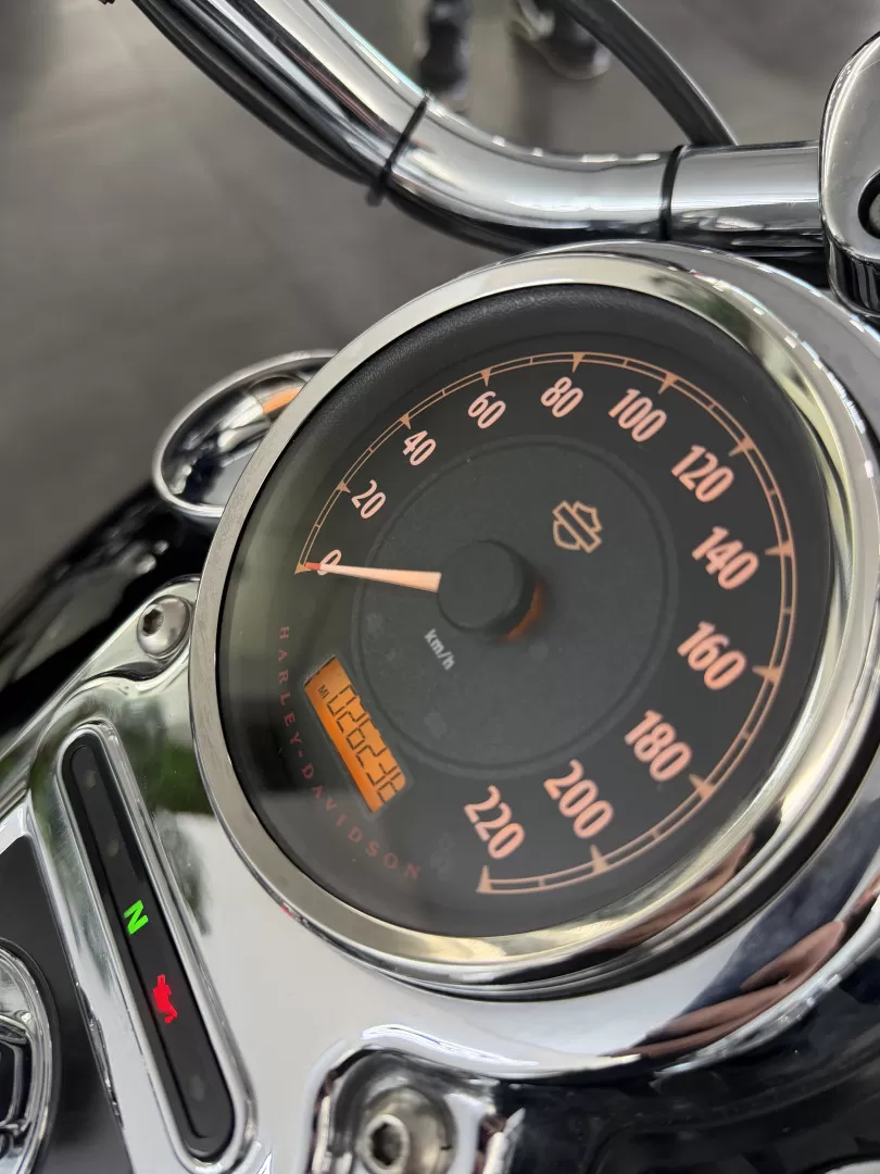 Harley-Davidson Dyna switchback - foto 8
