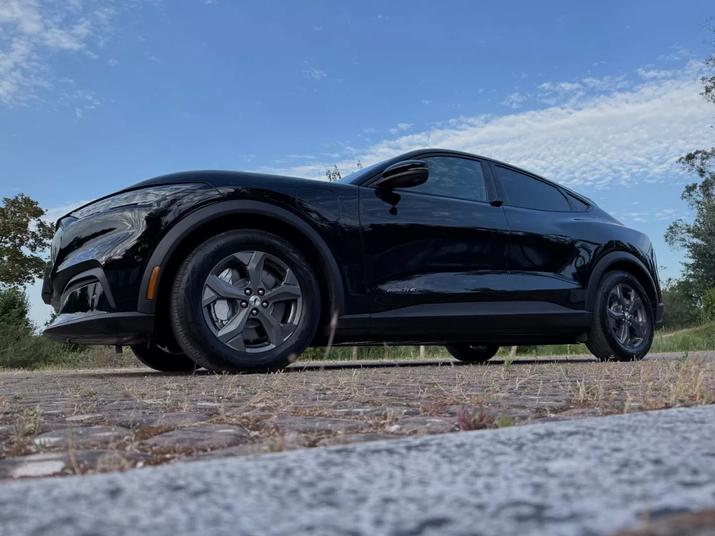 Ford Mustang Mach-E Standard - foto 3