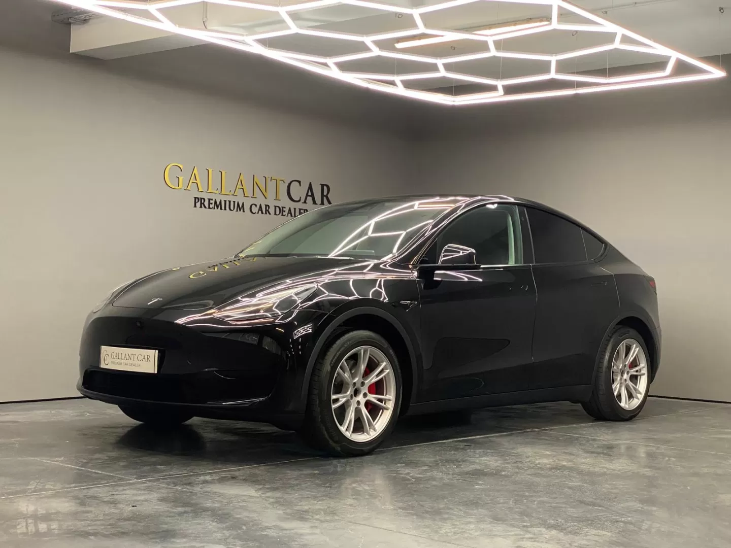 Tesla Model Y RWD