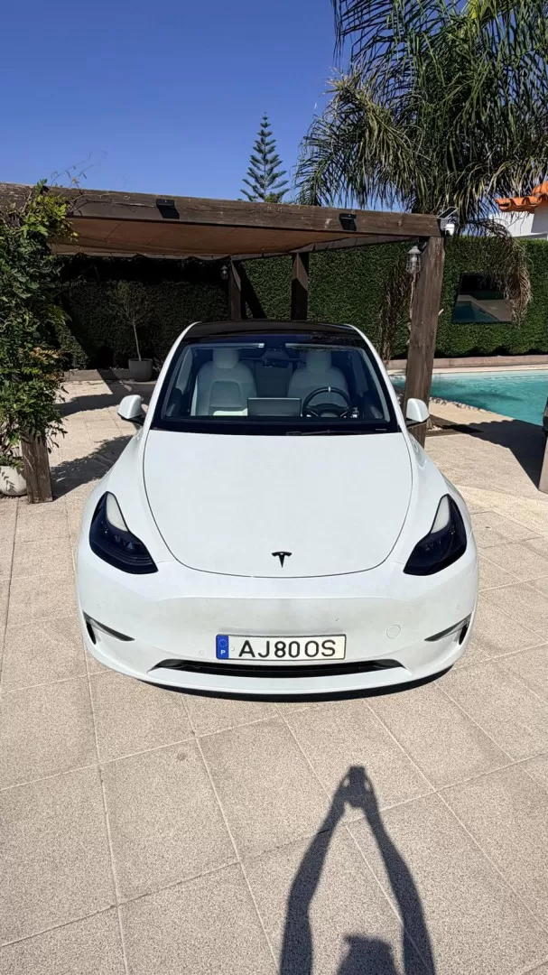 Tesla Model Y Long Range Tração Integral - foto 3
