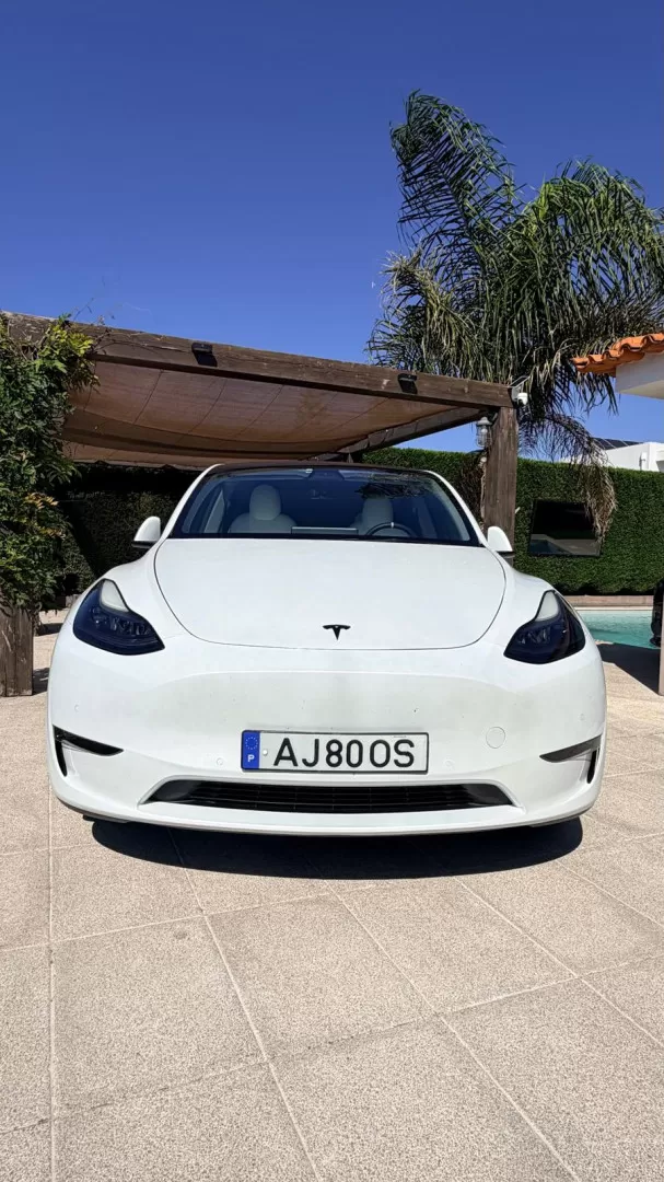 Tesla Model Y Long Range Tração Integral - foto 4